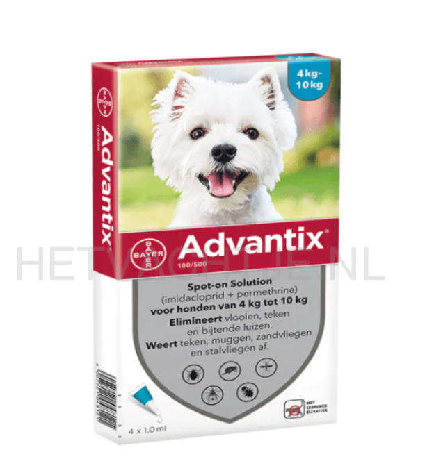 Laat een teek vanzelf los bij een hond?