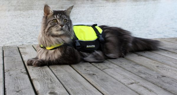 BALTIC - Kattenzwemvest Maja Geel/Zwart