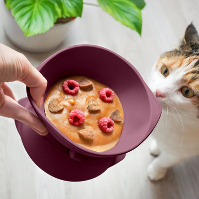 NE&NO® - verhoogde siliconenkatbalk Steengrijs