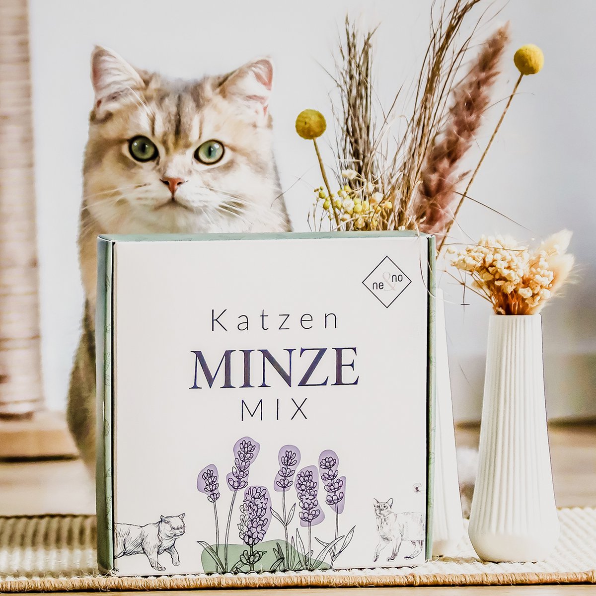 NE&NO® - Kattenkruid