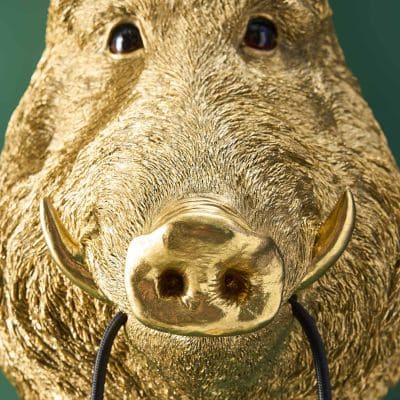 Werner Voss - Wandlamp wild zwijn Willy