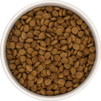 ARNI Superfood - Kip met Tonijn en Zalm