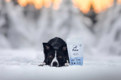 PALA - 100% Rinderleber Hundeleckerlis