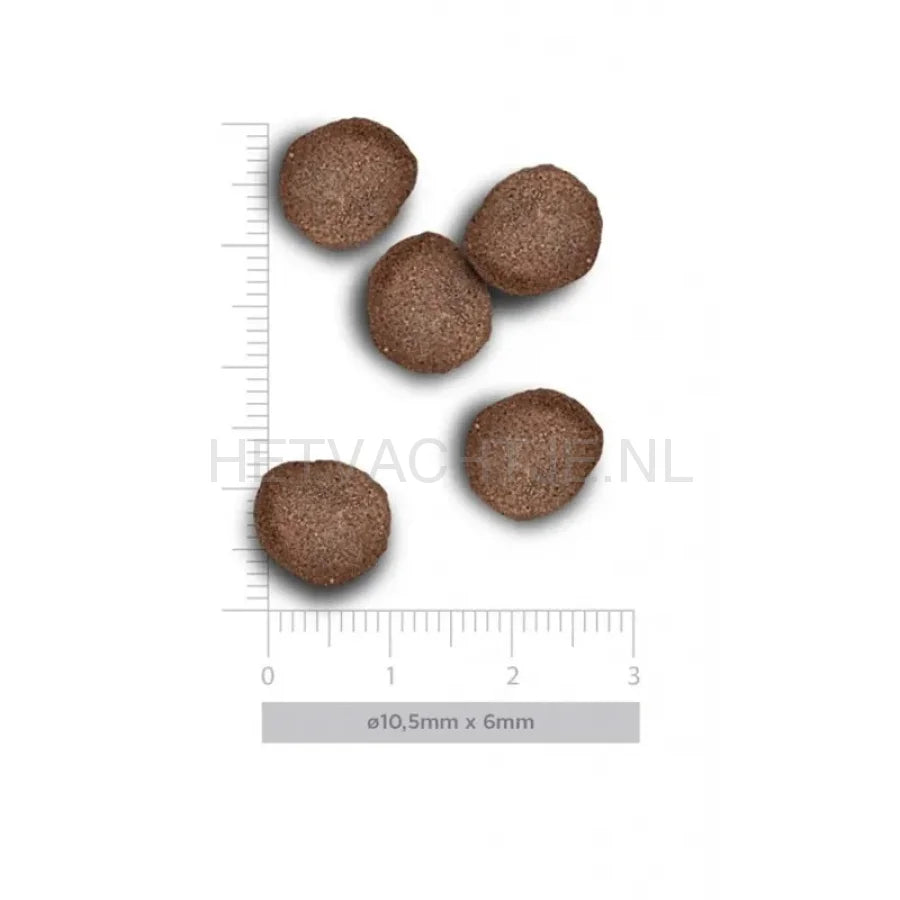 Amanova - Adult Digestive Divine Rabbit