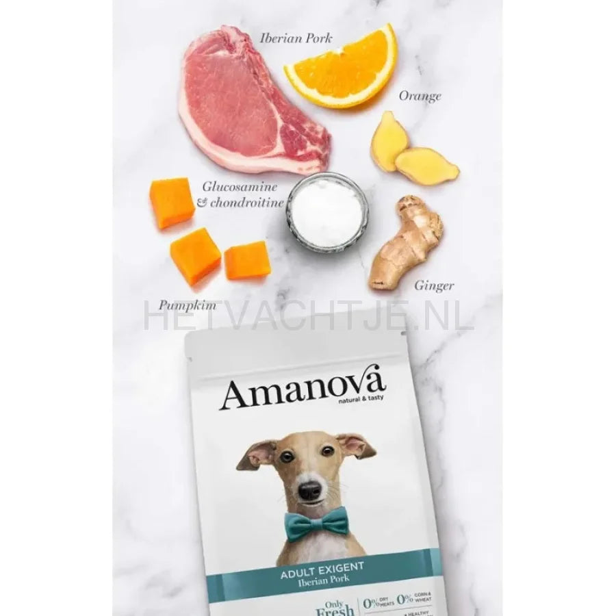 Amanova - Adult Exigent Iberian Pork