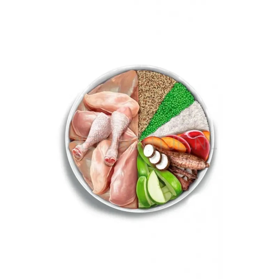 Amanova - Adult Mini Exquisite Chicken