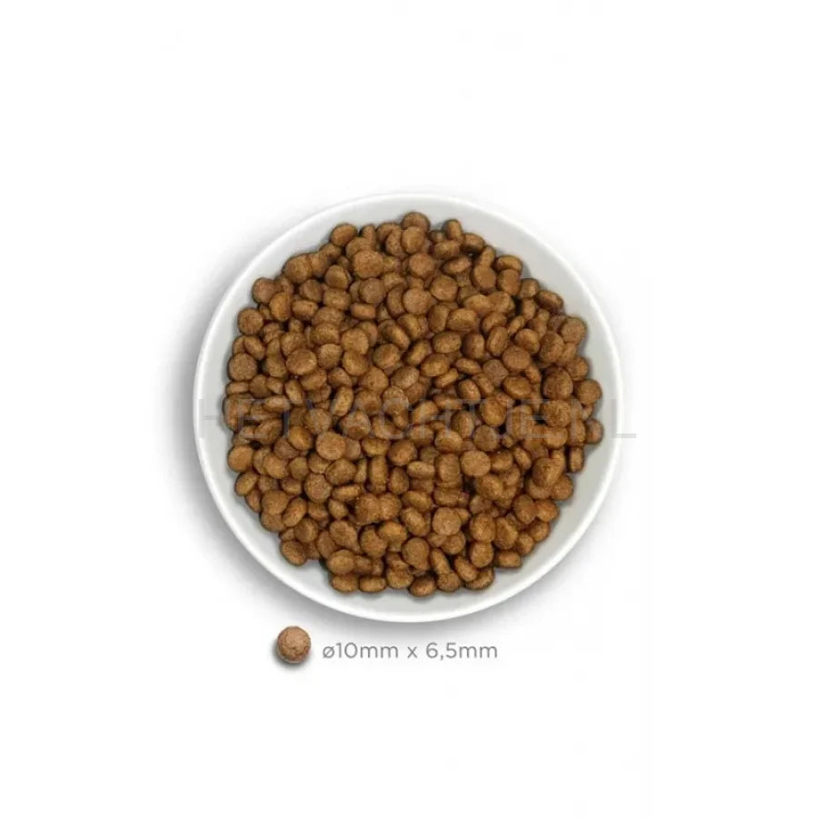 Amanova - Adult Mini Exquisite Chicken
