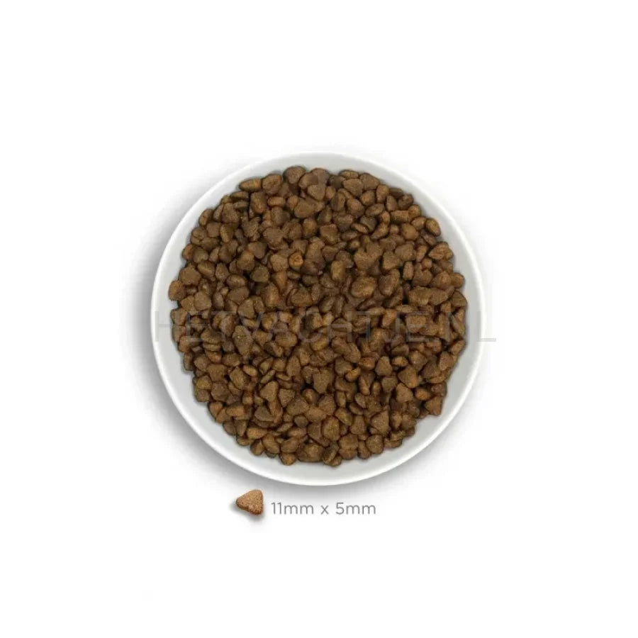 Amanova - Adult Mini Sensitive Delicious Lamb