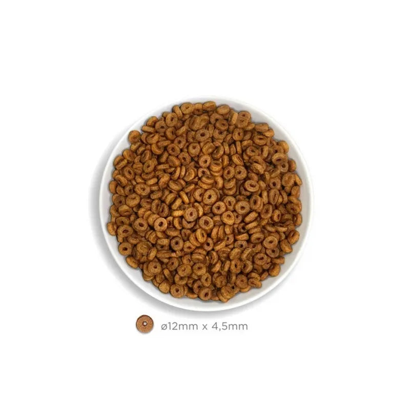 AMANOVA - Adult Cat - Salmon Deluxe
