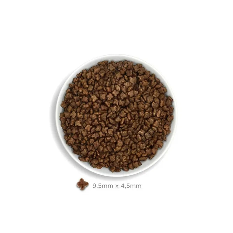 AMANOVA - Kitten Exquisite Chicken