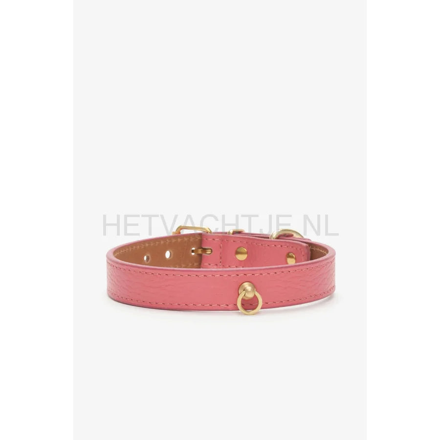 Brannipets - Coral Juno Halsband