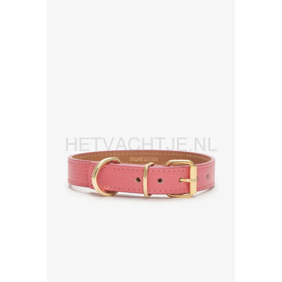 Brannipets - Coral Juno Halsband