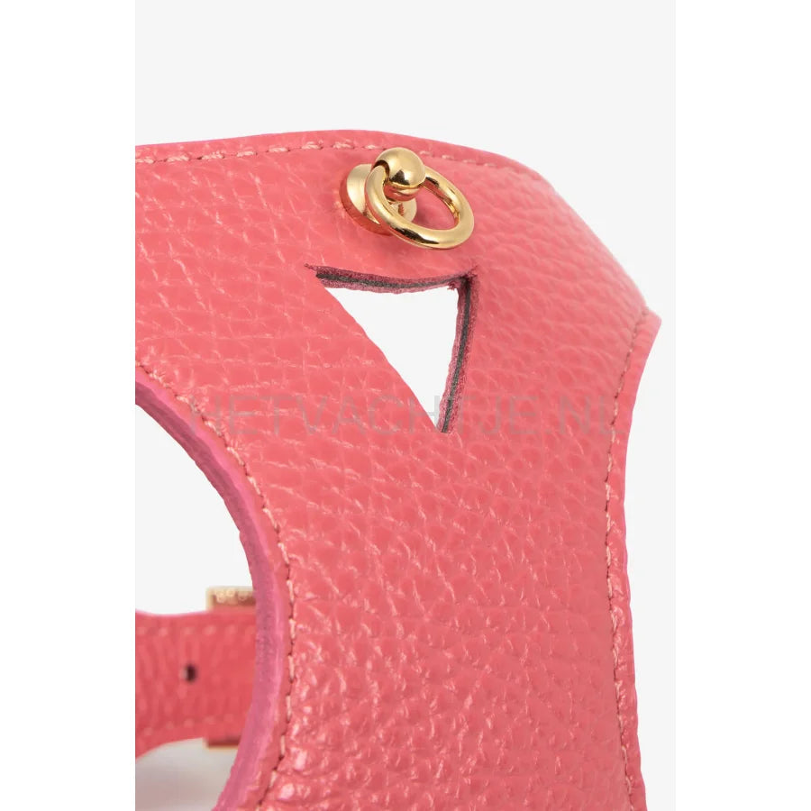 Brannipets - Coral Juno Tuig