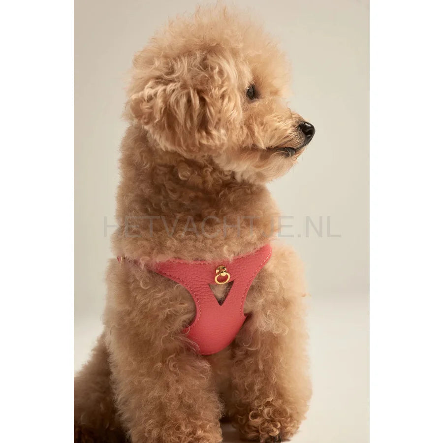 Brannipets - Coral Juno Tuig