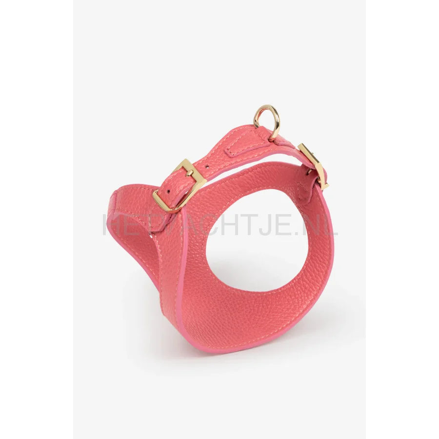 Brannipets - Coral Juno Tuig
