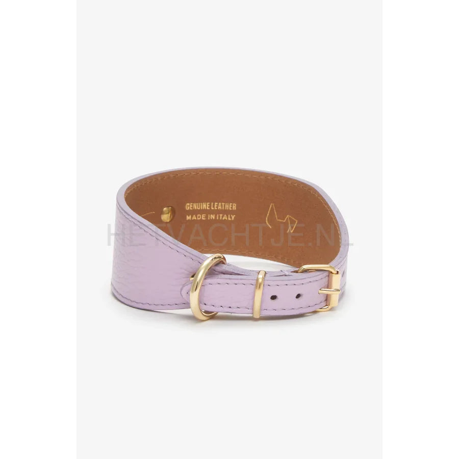 Brannipets - Lavender Juno Greyhound Halsband