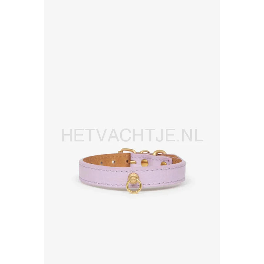 Brannipets - Lavender Juno Toy Halsband