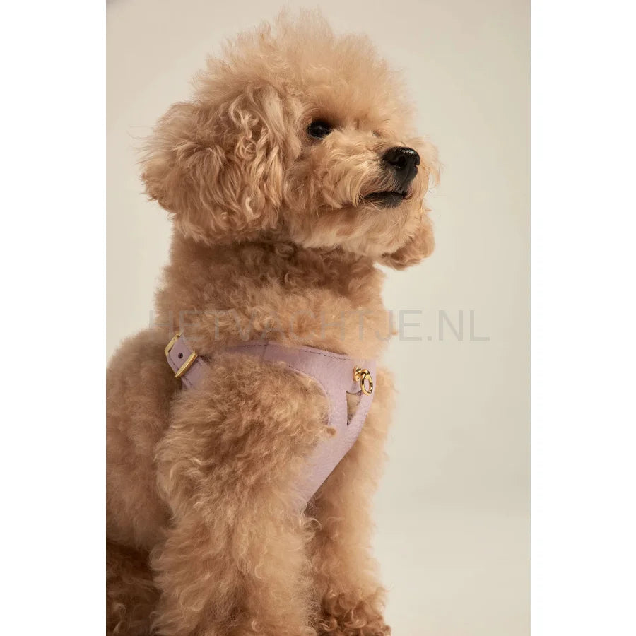 Brannipets - Lavender Juno Tuig