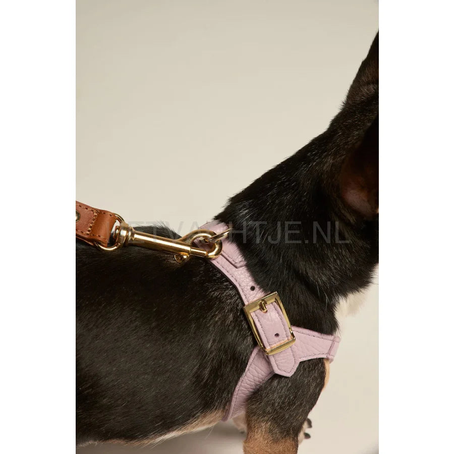 Brannipets - Lavender Juno Tuig