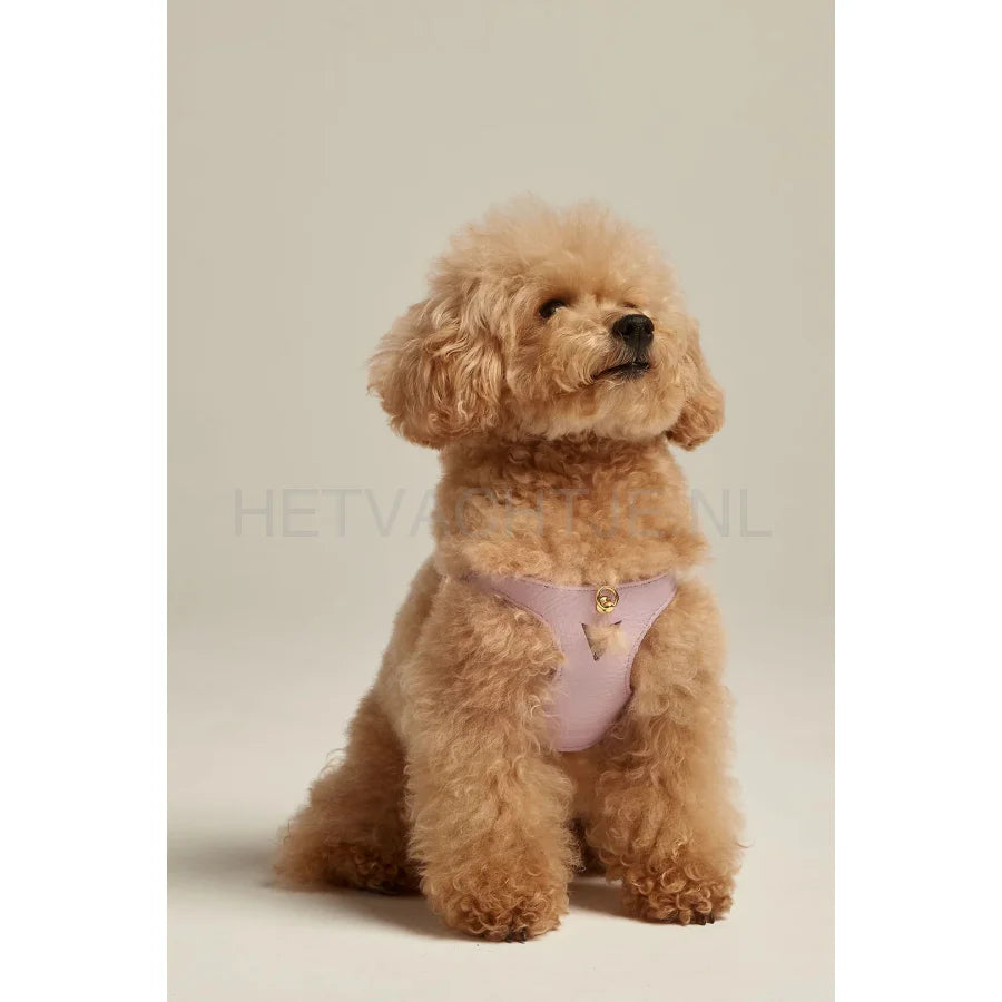 Brannipets - Lavender Juno Tuig