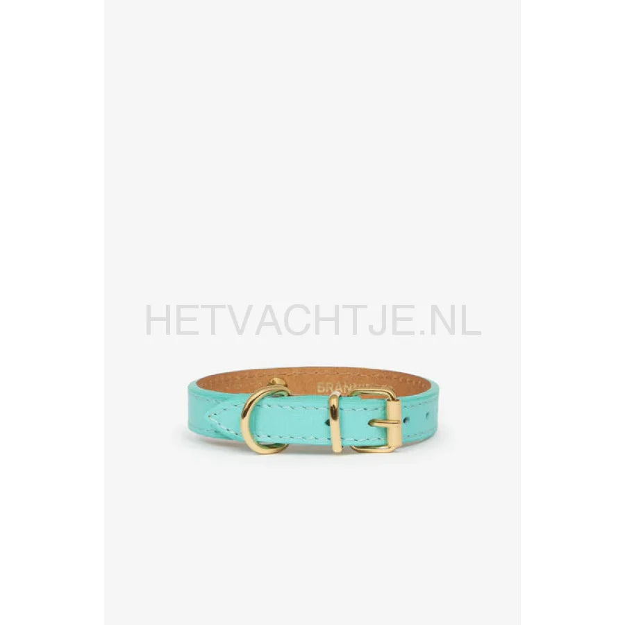 Brannipets - Turquoise Juno Toy Halsband