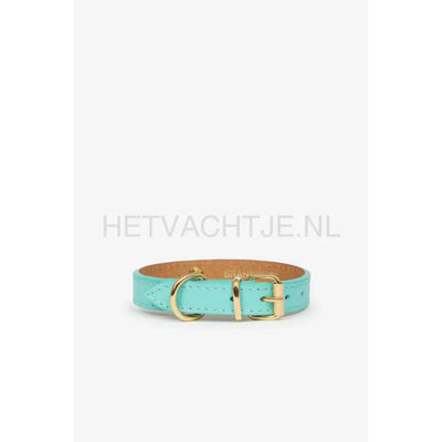 Brannipets - Turquoise Juno Toy Halsband