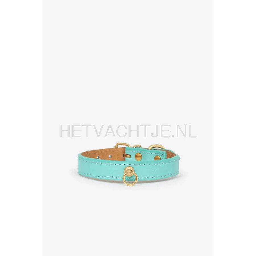 Brannipets - Turquoise Juno Toy Halsband