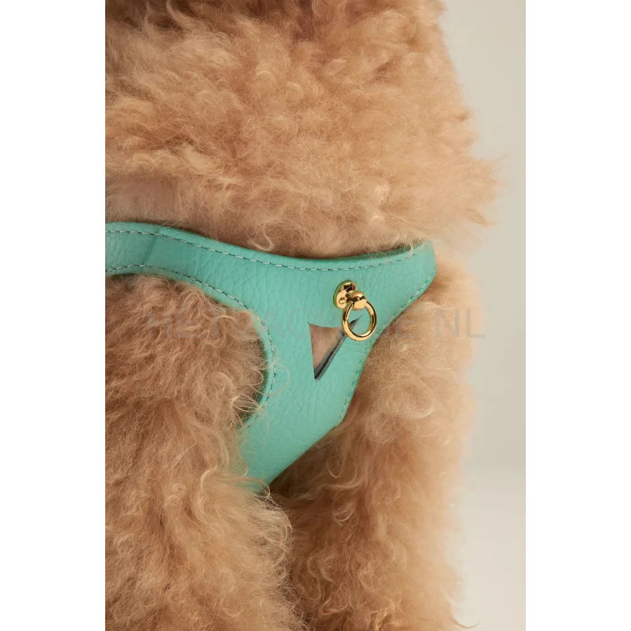 Brannipets - Turquoise Juno Tuig