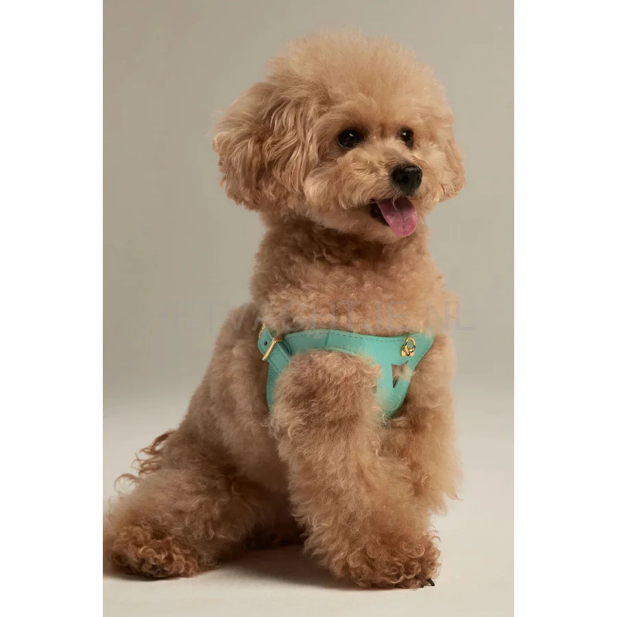 Brannipets - Turquoise Juno Tuig