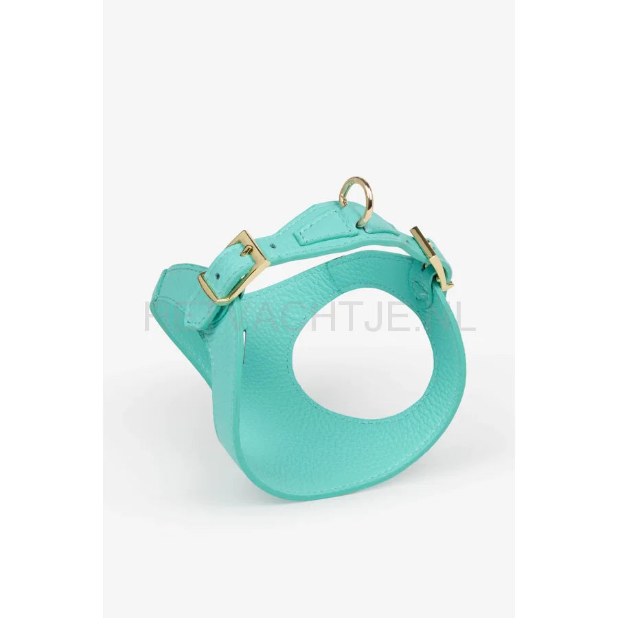 Brannipets - Turquoise Juno Tuig