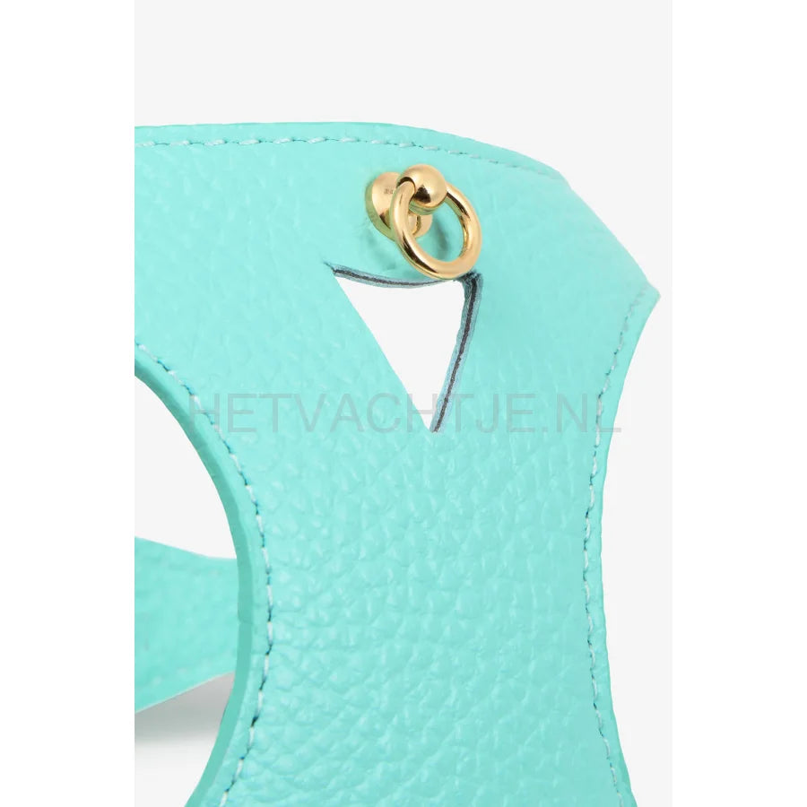 Brannipets - Turquoise Juno Tuig