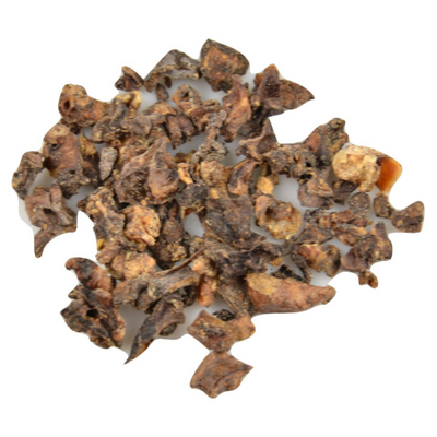 Carnis - Mini Trainer Lamlong