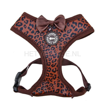 Catspia - Leone Harnass A Bruin