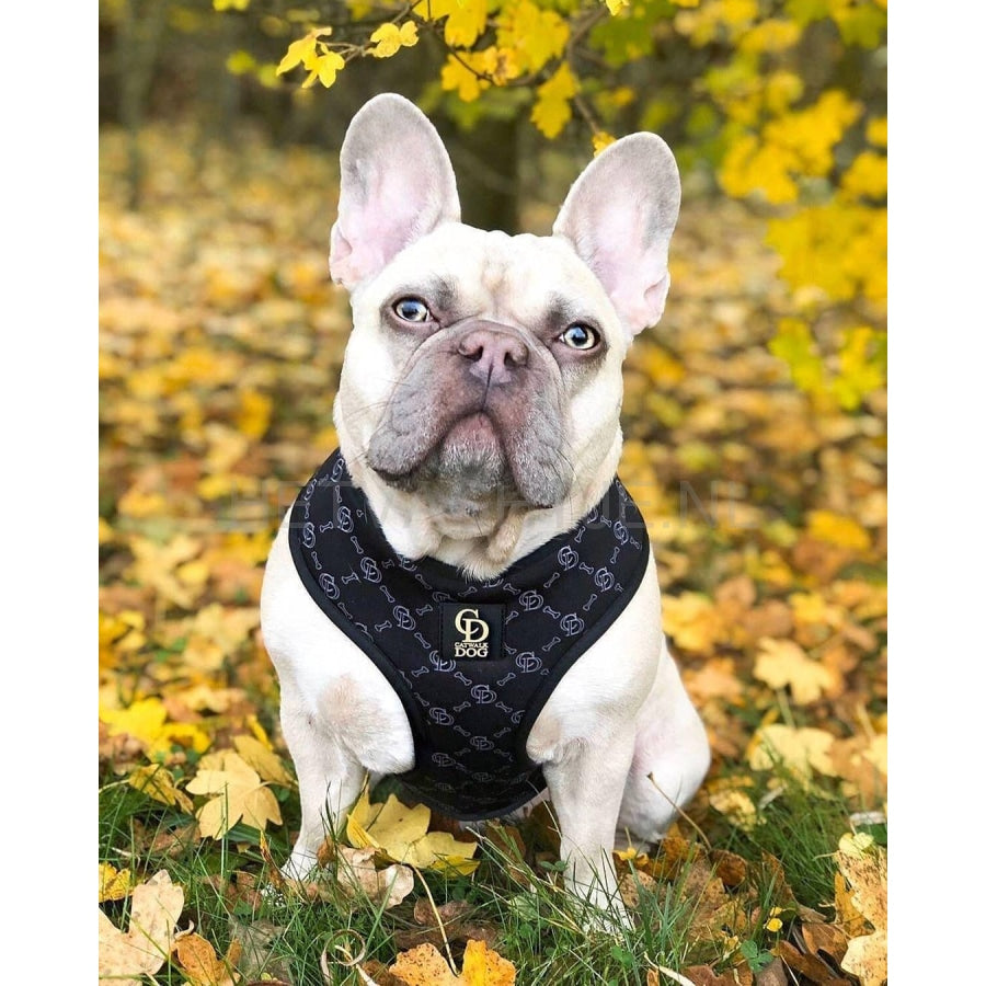 Catwalk Dog - Fashionista Harnas
