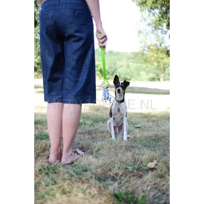 Chuckit! - Fanatic Tennis