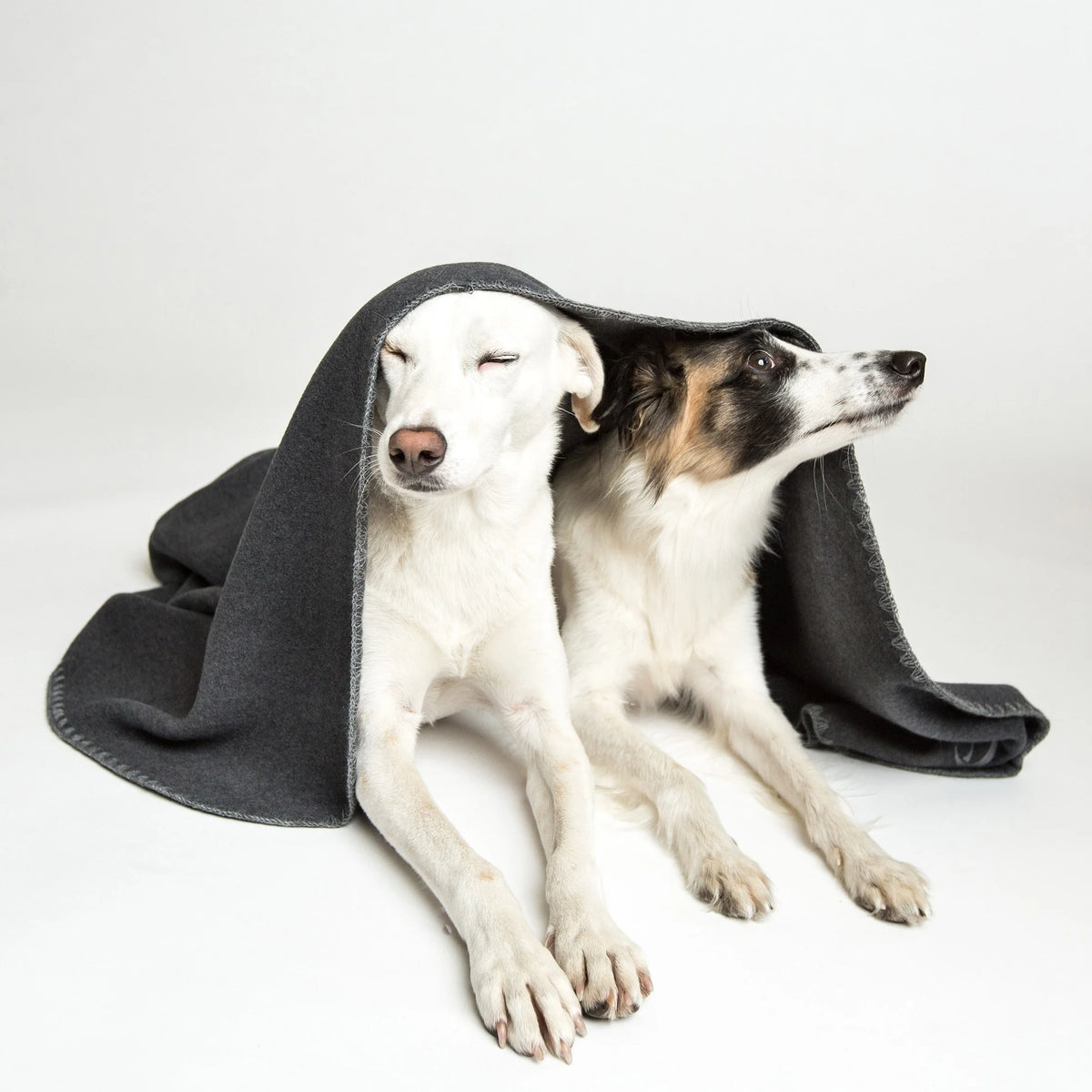 Cloud7 - Hondendeken Soft Fleece - Donkergrijs