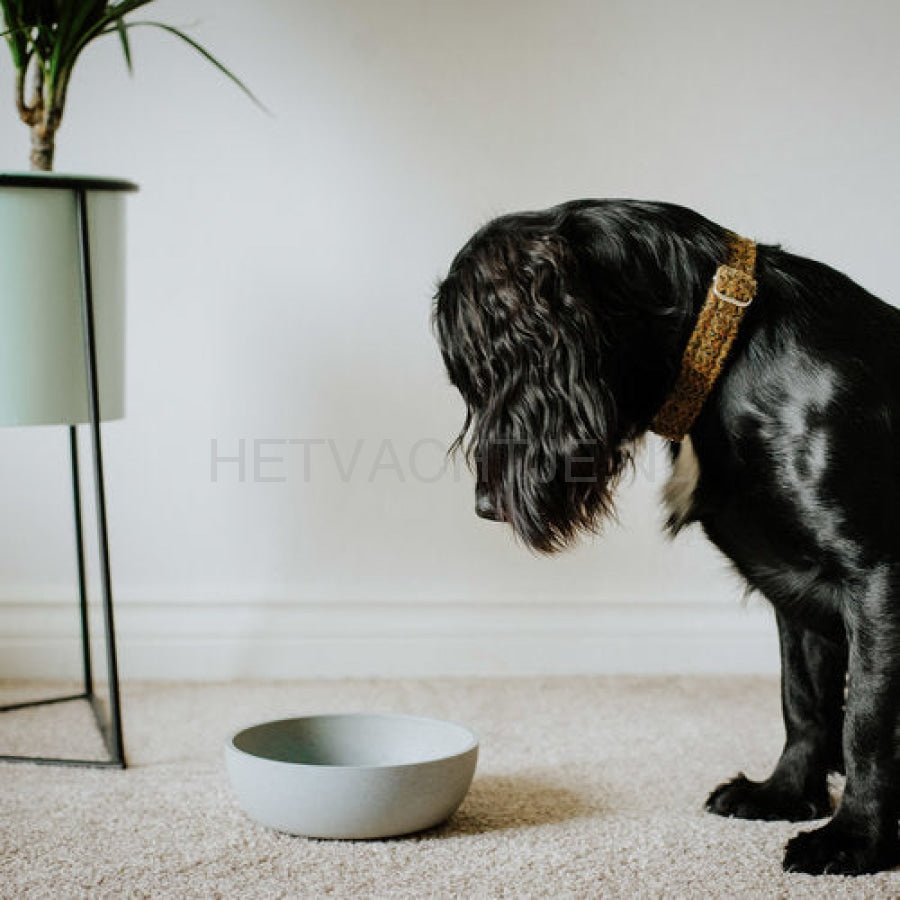 District70 - Voerbak Ice Blauw