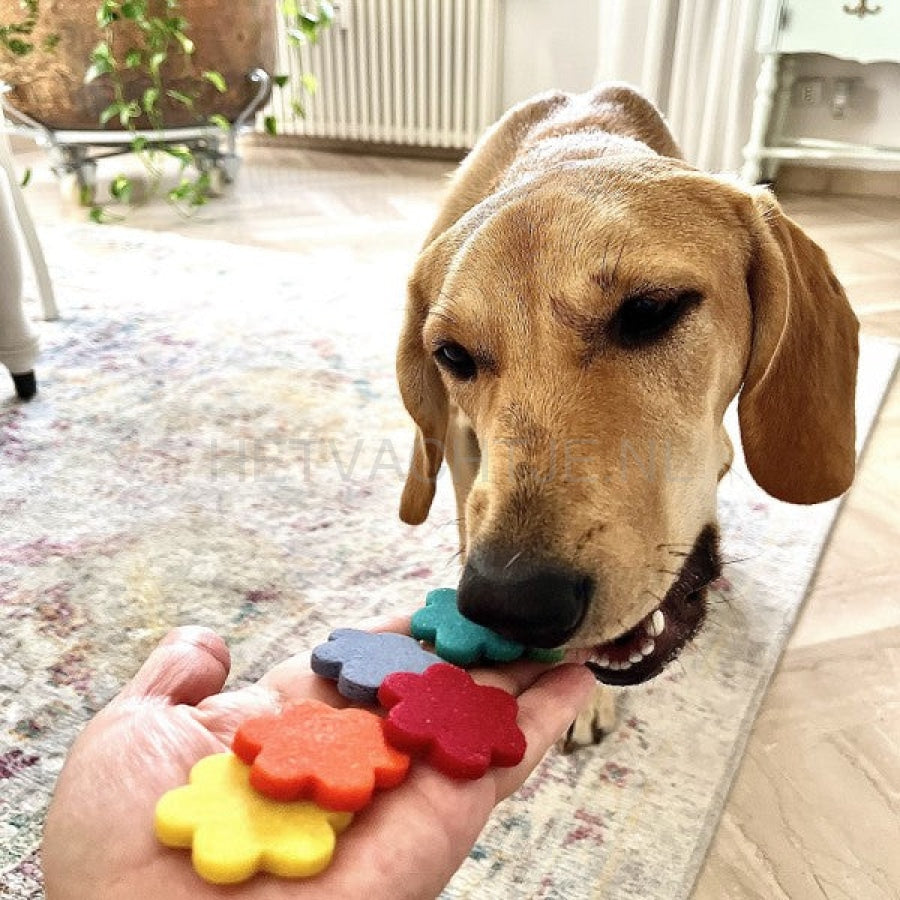 Dolci Impronte - Peace Love Paws