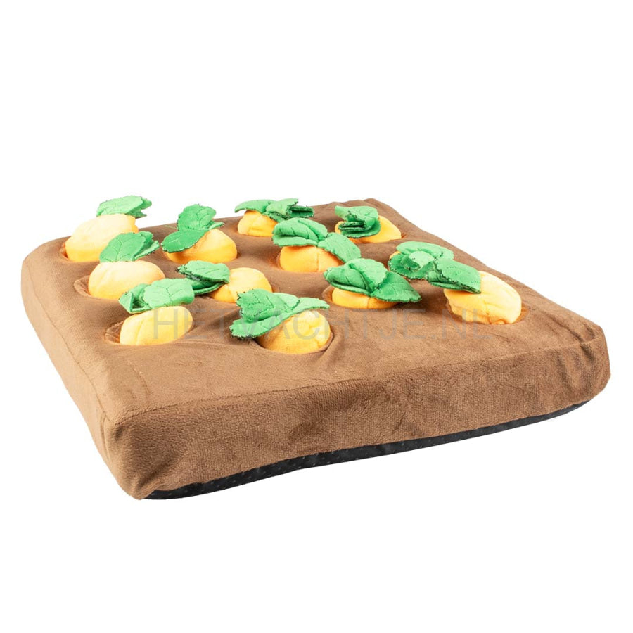 Duvo - Snackmat wortel moestuin 37x37x8cm