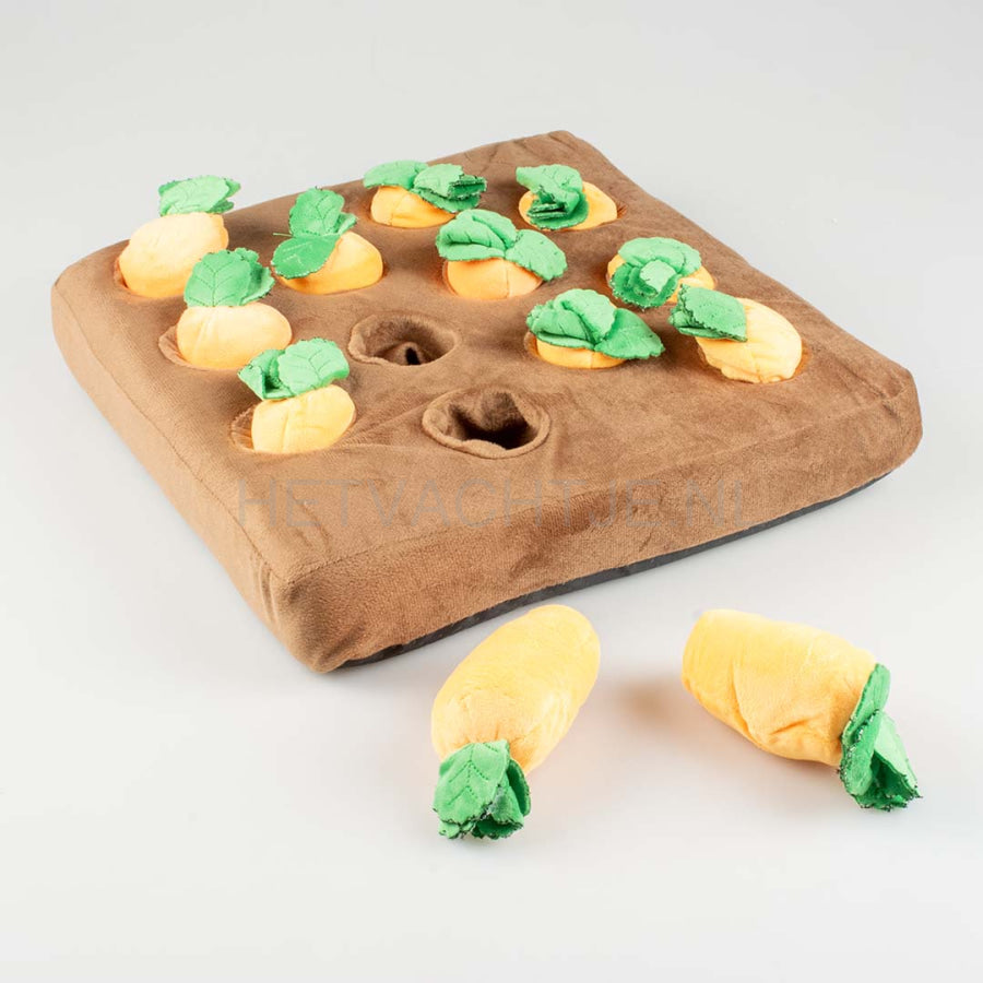 Duvo - Snackmat wortel moestuin 37x37x8cm