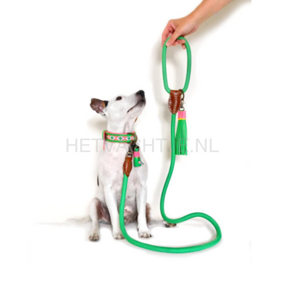 Dwam - Apple Pie Hondenlijn