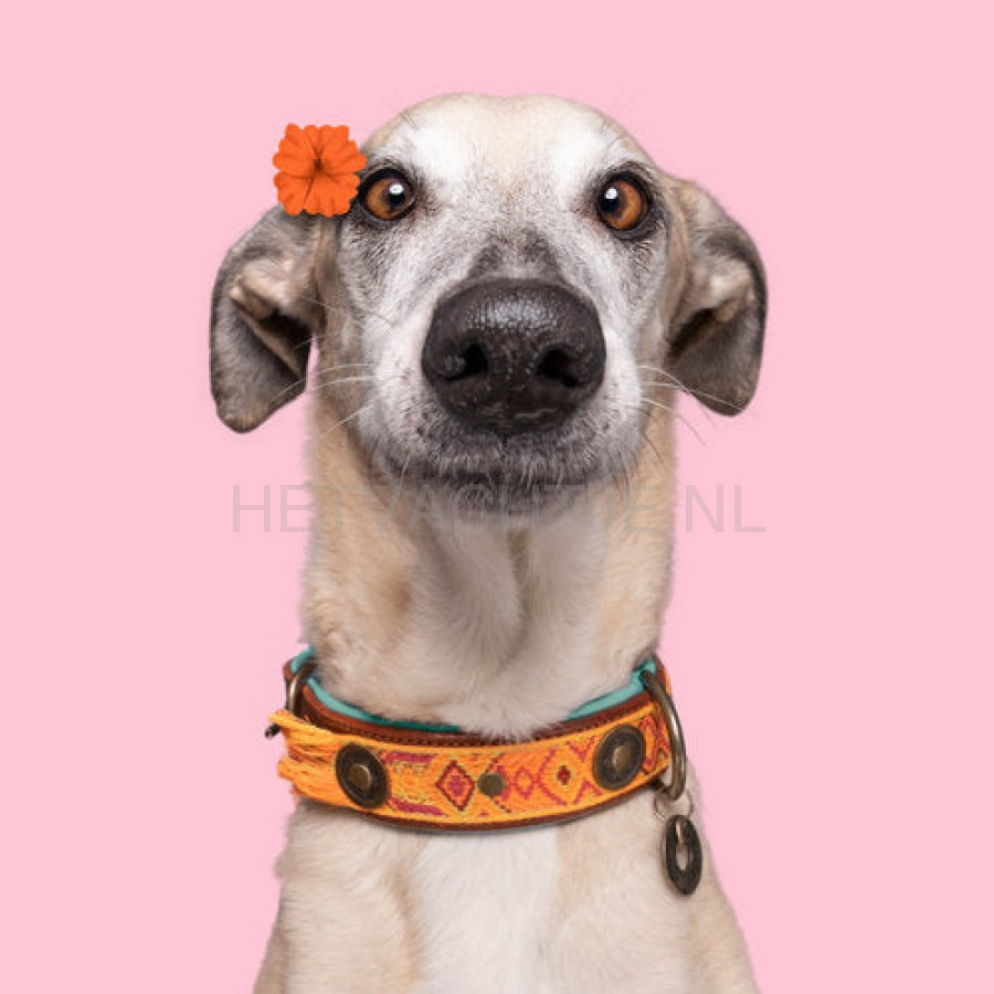 Dwam - Boho Chica Halsband