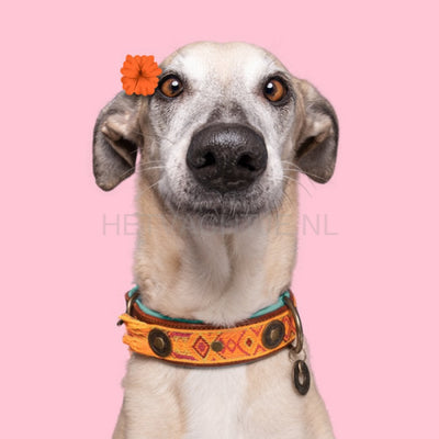 Dwam - Boho Chica Halsband