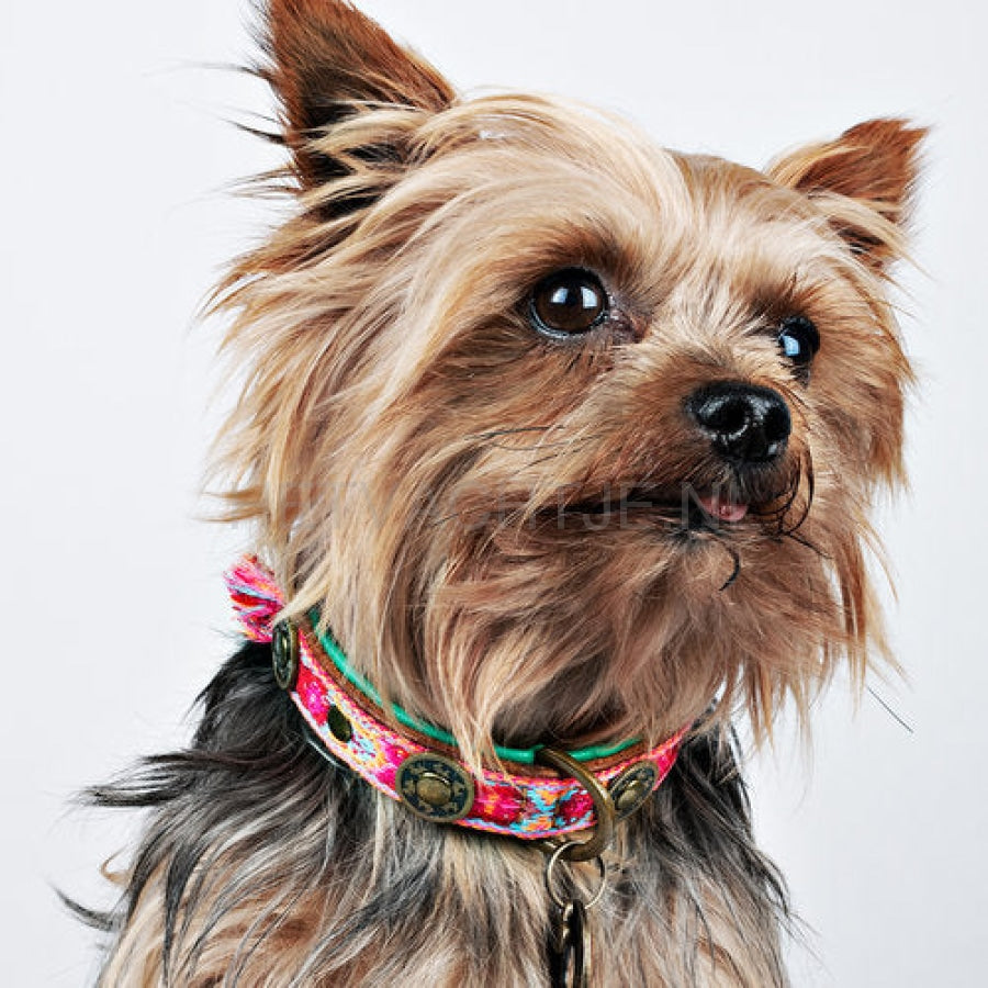 Dwam - Boho Rosa Halsband