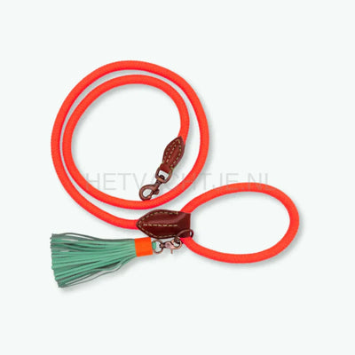 DWAM - Classic Carrot Cake Hondenlijn L (155CM X 1.4CM) / Oranje