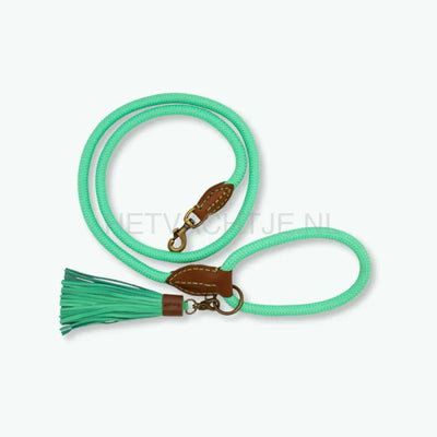 DWAM - Classic Jade Hondenlijn L(155CM X 1.4CM) / Turqouise
