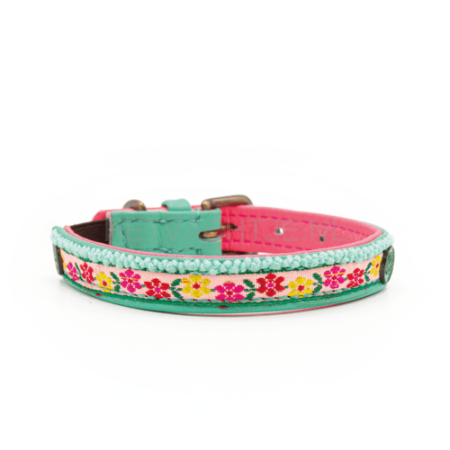 Dwam - Kitty Katten Halsband