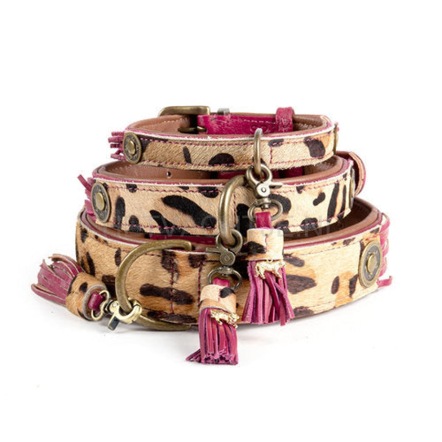 Dwam - Lou Halsband