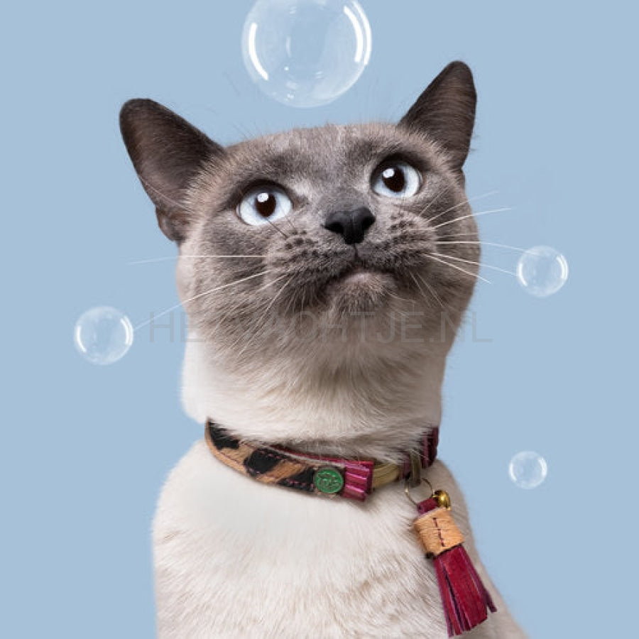 Dwam - Lou Katten Halsband
