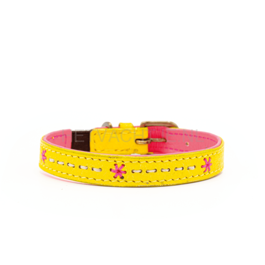 Dwam - Ollie Katten Halsband